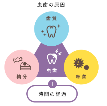 むし歯はなぜできるの?